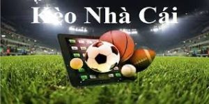 Yên tâm trải nghiệm nền tảng Kèo Nhà Cái